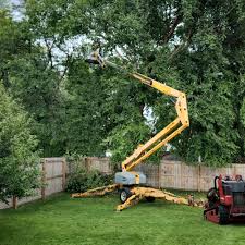 Lawn Pest Prevention in New Hope, PA
