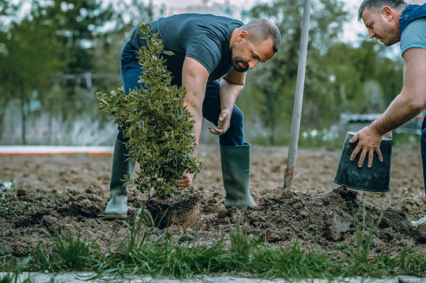 Best Arborist Consultation Services  in New Hope, PA
