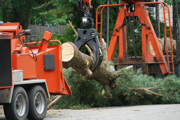Grass Overseeding in New Hope, PA